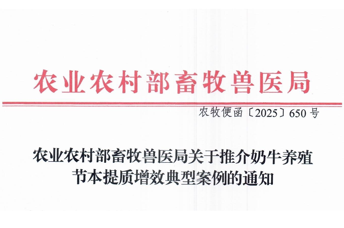 首页.jpg