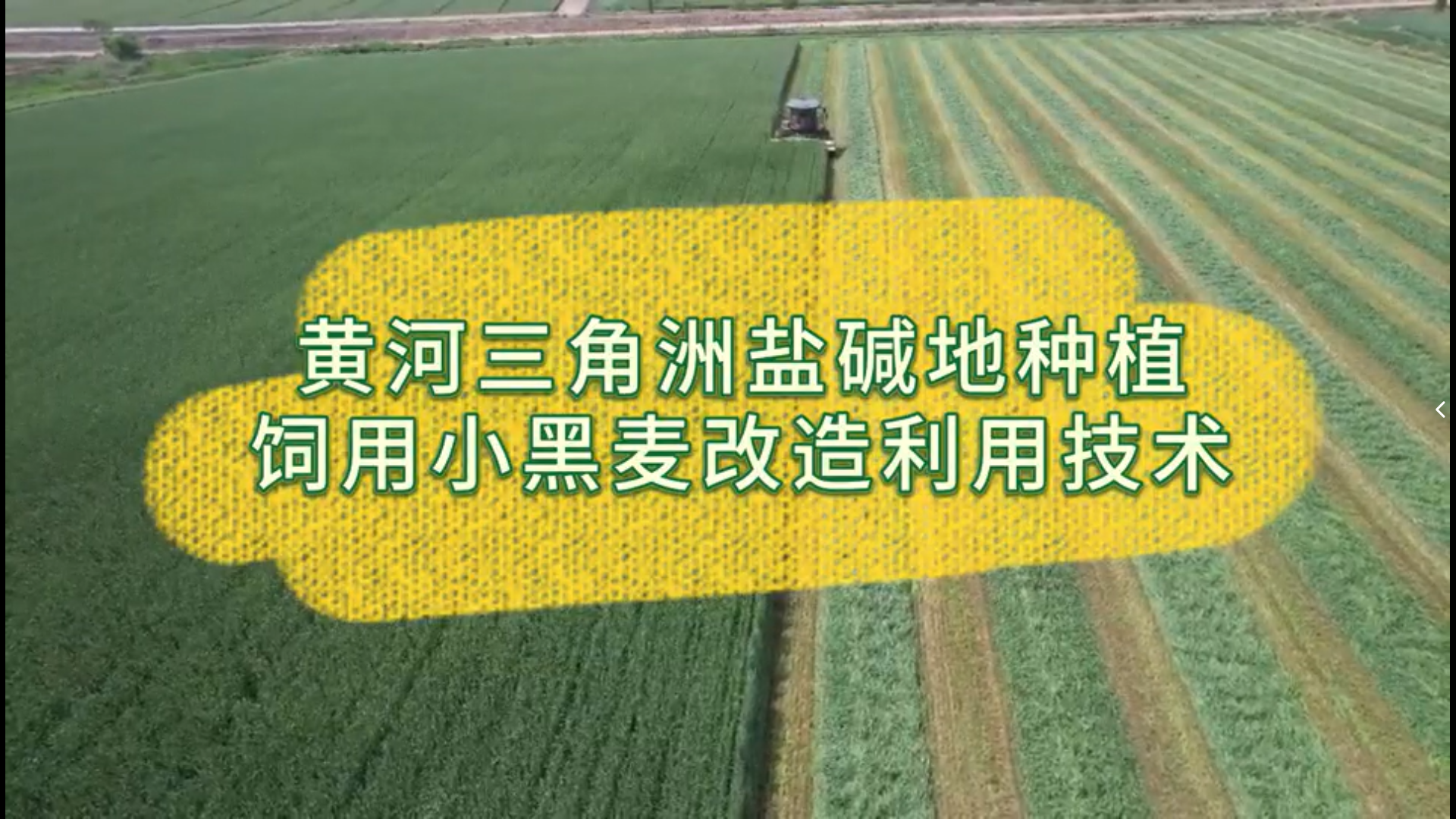 wechat_2025-10-09_135606_188.png