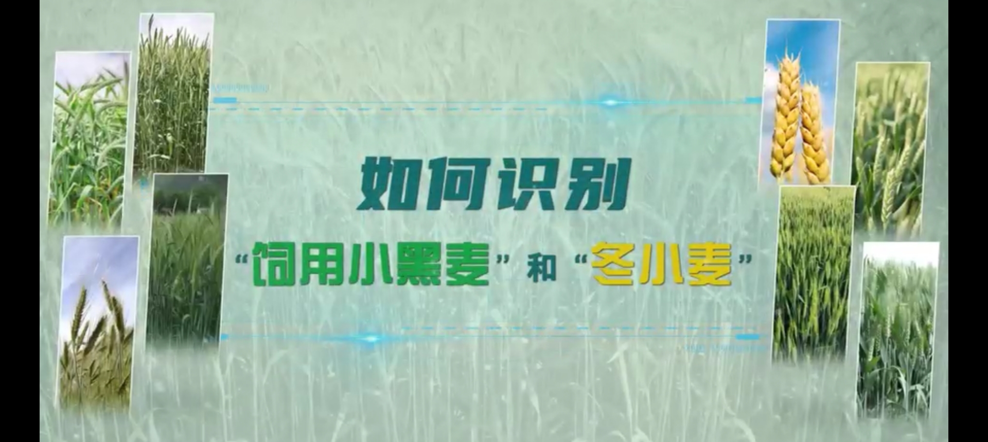 微信图片编辑_20260522161236.jpg