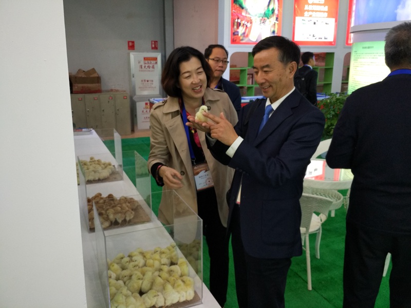 全国畜牧总站党委书记、中国畜牧业协会副会长兼秘书长何新天