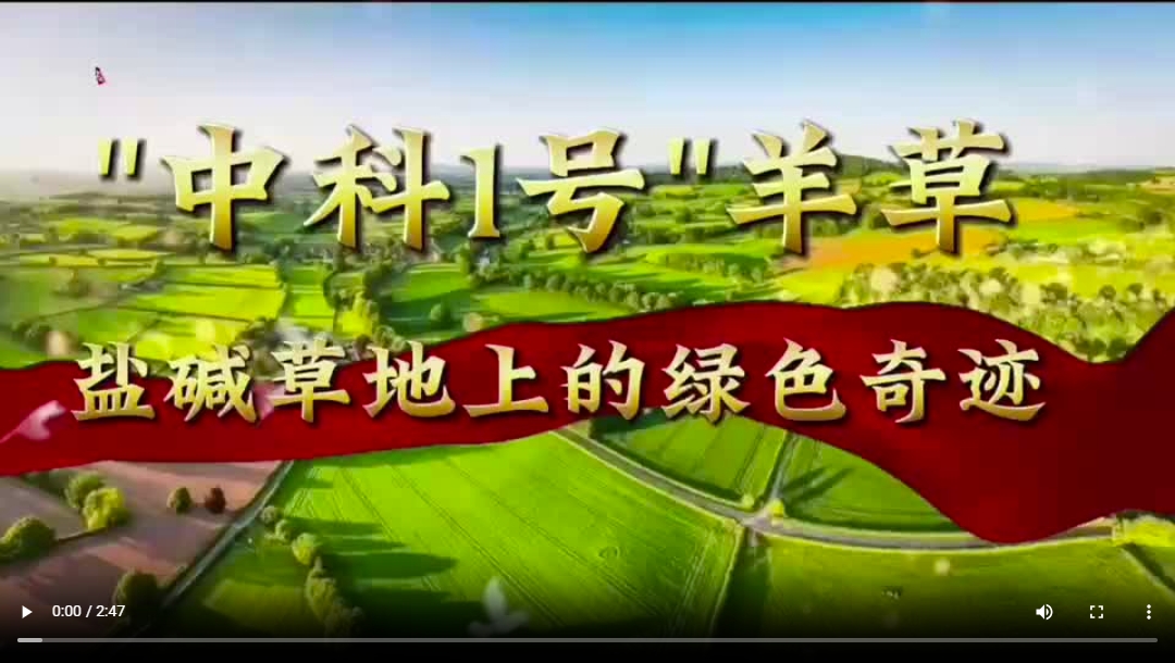 中科1号.png